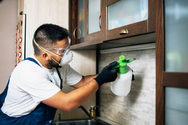 Best Best Pest Control Companies  in Englewood Cliffs, NJ