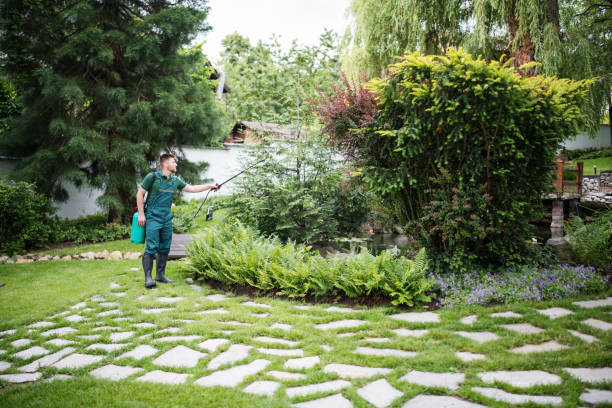 Best Cockroach Control Services  in Englewood Cliffs, NJ