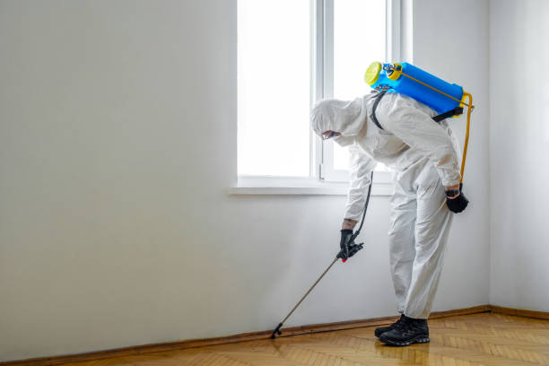 Reliable Englewood Cliffs, NJ Pest Control Solutions