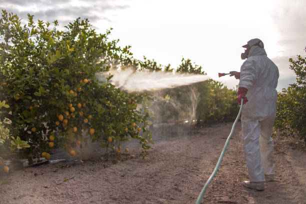 Best Residential Pest Control  in Englewood Cliffs, NJ