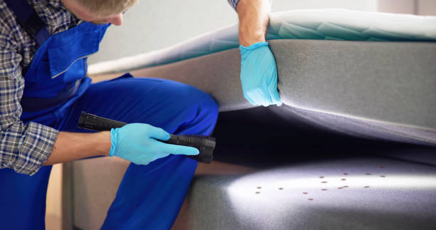 Best Rat Extermination Near Me  in Englewood Cliffs, NJ
